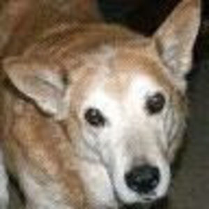 Meet your Posher, Wayne